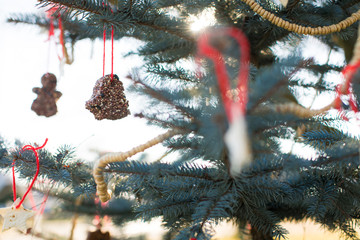 christmas tree bird feeder