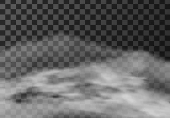 Foto op Plexiglas Fog or smoke realistic texture vector illustration. White steam cloud or mist on a dark transparent background, natural effect isolated border © klyaksun