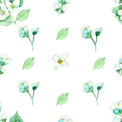 Watercolor hand painted nature floral herbal seamless pattern with white flower jasmine and yellow center and green leaves and branches isolated on the white background, trendy print for design