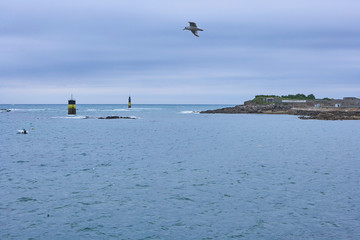 Roscoff, Brittany, coastal region with buoys, clouded sky, seagull flying