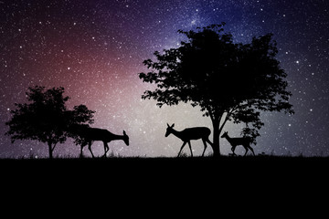 silhouettes of deer under a tree at night