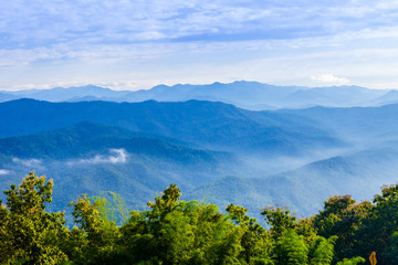 Fototapeta premium Beautiful fog coverage mountain valley and sunlight in the morning colorful,Sri Nan Park,Nan,Thailand