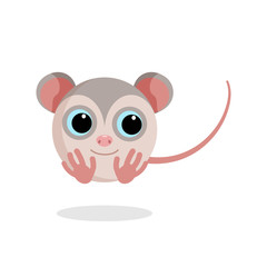 opossum vector illustration. Flat design