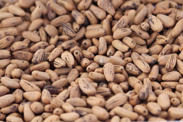 Peanuts of extraordinary beautiful color and delicious taste