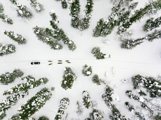 Aerial view of sledding with husky dogs in Lapland Finland. © nblxer
