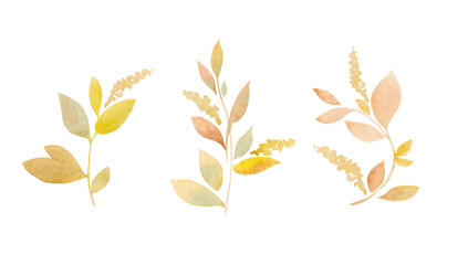 Pattern of watercolor autumn leaves, hand drawn illustration of floral elements isolated on white background. Floral Design elements.