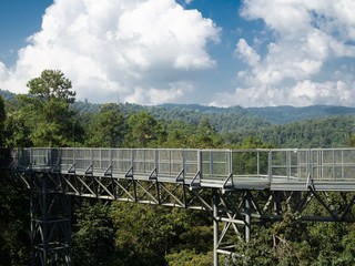 Canopy walkway . Sky Bridge. Entrance steel structure walkway on tall mountains with forests at Queen Sirikit botanic garden in Chiang Mai Thailand.