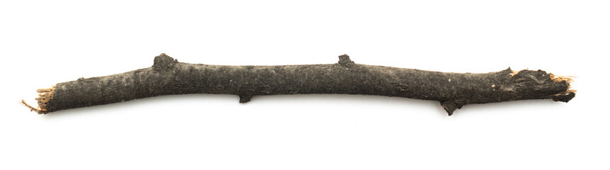 Dry wooden stick on a white background. isolate.