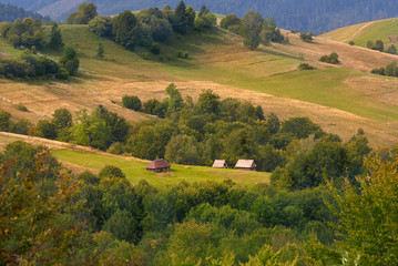 Sheds on pasture field in mountains