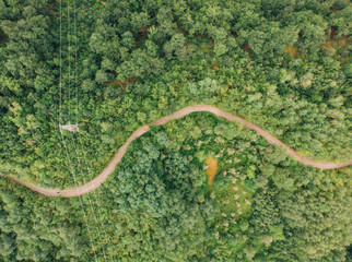 Trees, Road and Power Lines Above View Drone