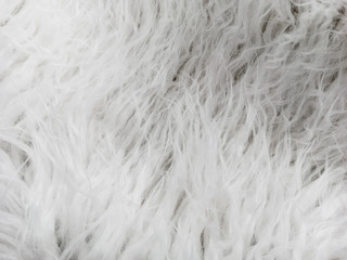 Natural white wool. Seamless texture of animal wool.
