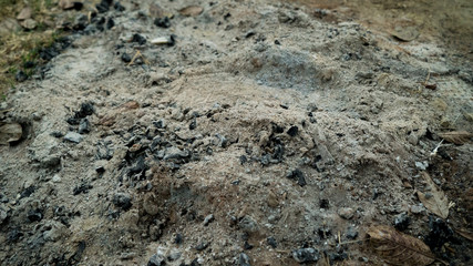 Coal Ashes