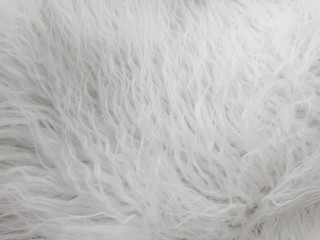 Natural white wool. Seamless texture of animal wool.