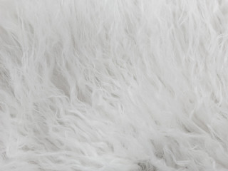 Natural white wool. Seamless texture of animal wool.