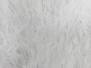 Natural white wool. Seamless texture of animal wool.