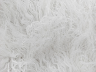 Natural white wool. Seamless texture of animal wool.