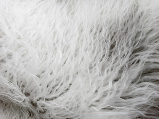 Natural white wool. Seamless texture of animal wool.