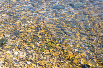 river bottom with a stone or pebble beach. mossy stones shining through a layer of river water on a bright sunny day