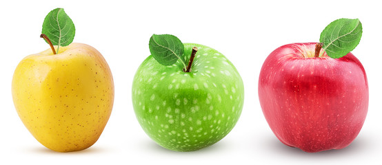 Apples red yellow green with leaf