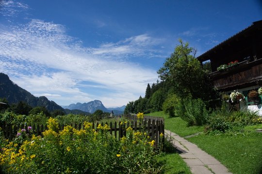 Blick vom Hinterkaiserhof im Kaisertal zum Pendling
