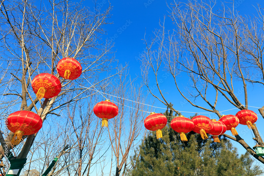 Canvas Prints Red lanterns hang on branches in the blue sky