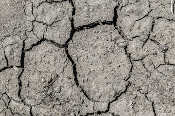 Detailed close up view on dry agricultural grounds and acre in high resolution