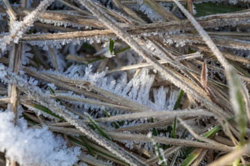 patterns of frost on the grass