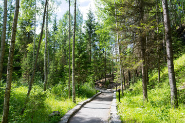 footpath in Ruskeala mountain Park
