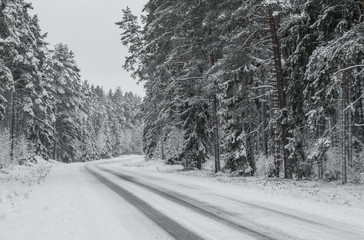 Snowy forest road winter