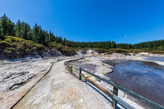 Hell's Gate, Geothermal Park, Tikitere, Rotorua, North Island, New Zealand