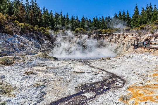 Hell's Gate, Geothermal Park, Tikitere, Rotorua, North Island, New Zealand
