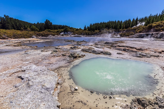Hell's Gate, Geothermal Park, Tikitere, Rotorua, North Island, New Zealand