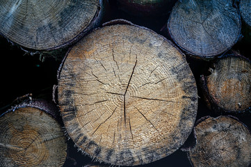 Close-up of stack of wood