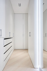 wardrobe with white matte facades and mirror in the dressing room