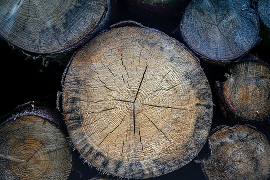 Close-up of stack of wood