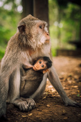 Beautifuls destination Travel Photography