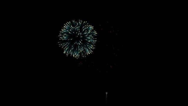 Colorful fireworks display in the night sky - animation
