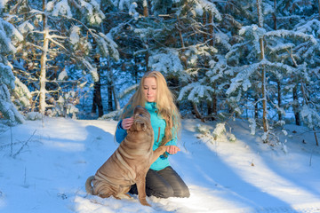 sharpey in the snowy pine forest in winter with the mistress . girl in blue jacket stroking dog hand