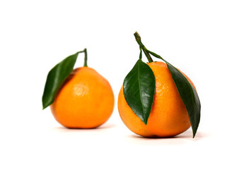 Two bright tangerines with leaves on a white background. Colour photo