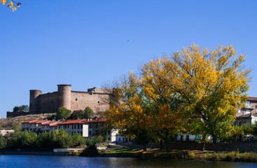 Fototapeta na wymiar Castillo medieval en la ribera del río Tormes