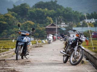 Mobylettes et motos dans une rizière au Vietnam, 