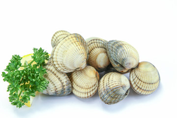 raw cockles in a white background