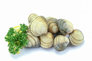 raw cockles in a white background