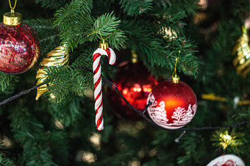 Сandy cane on the Christmas tree