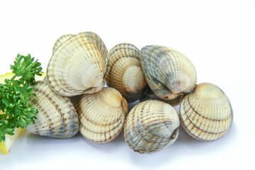 raw cockles in a white background