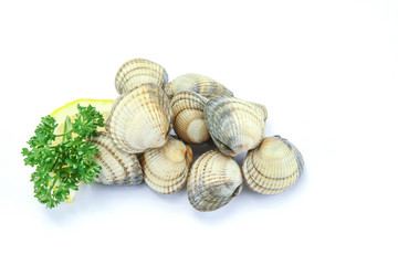 raw cockles in a white background