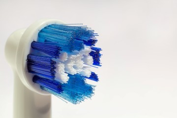 Electric toothbrush head detail