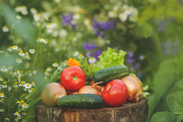 vegetables are on a stump in a garden