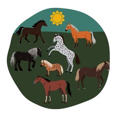 Set of horses on vector background vector