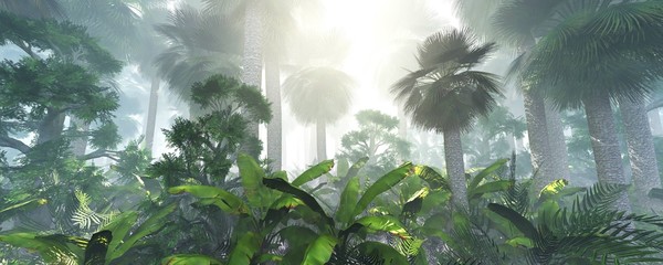 coconut jungle in the morning in the fog, forest in the haze. 3d rendering.
